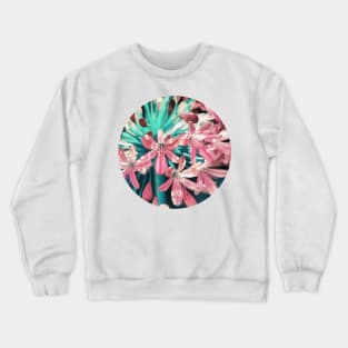 Sunny Agapanthus Flower in Pink & Teal Crewneck Sweatshirt